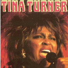 Tina Turner 1990